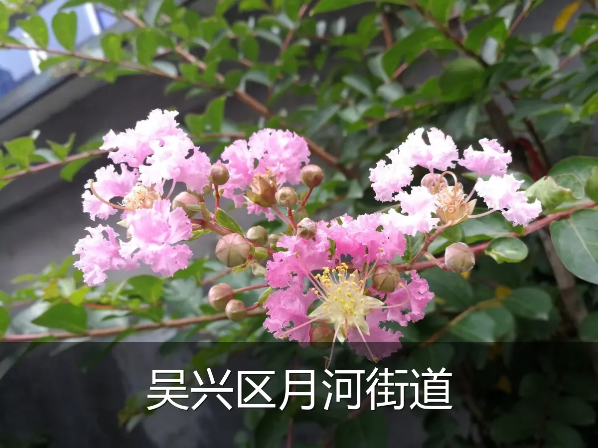 吴兴区月河街道