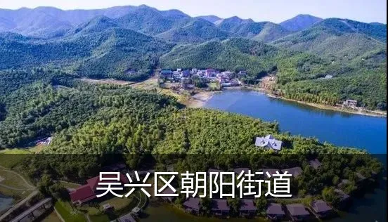 吴兴区朝阳街道